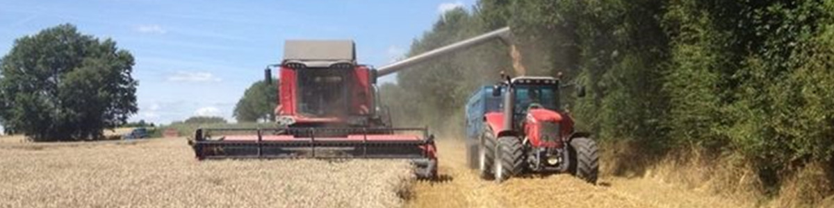 Formations CAPA métiers de l